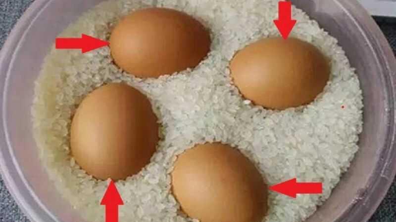 Nếu bạn biết cách đặt trứng ở vị trí này, chúng sẽ giữ được độ tươi trong suốt cả tháng mà không cần bảo quản trong tủ lạnh.