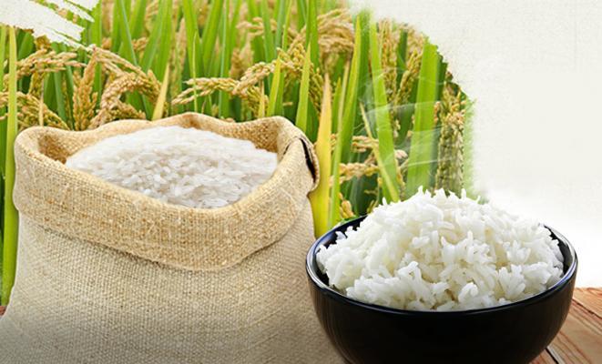 Top 3 đại lý gạo chất lượng và uy tín tại Huế