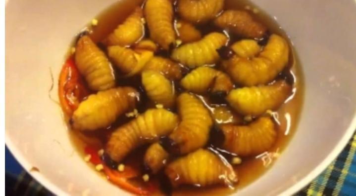 Top 10 Món ăn Kỳ Quái Nhất Việt Nam