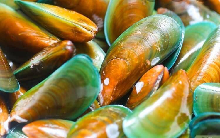 Top 7 quán hải sản tươi ngon đáng thử nhất tại TP. Bà Rịa, Bà Rịa - Vũng Tàu