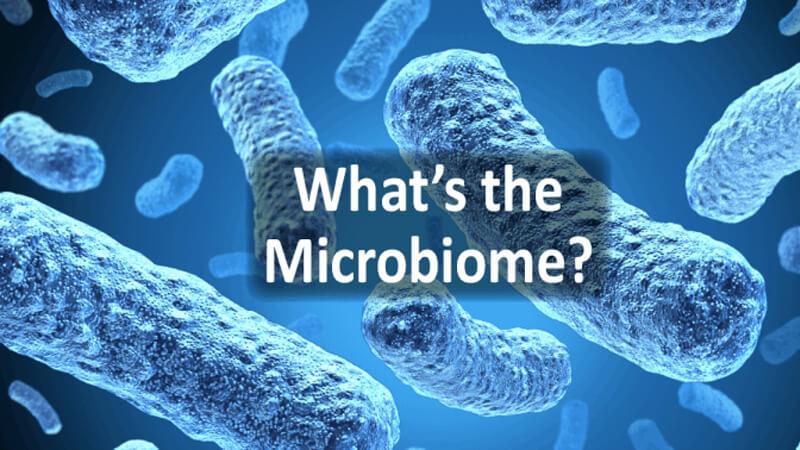 Xu hướng làm đẹp hiện đại: Men vi sinh Microbiome mang lại vẻ đẹp từ sâu bên trong là gì?