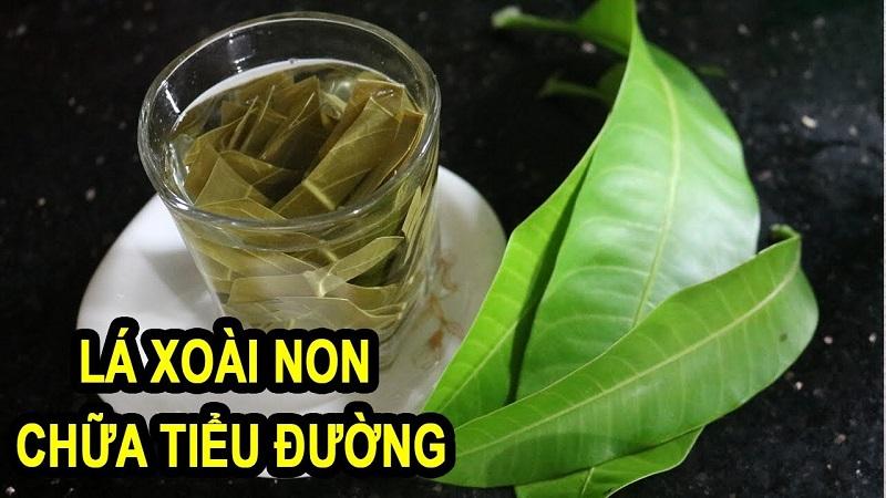 Lá xoài non và công dụng chữa bệnh ít người biết đến