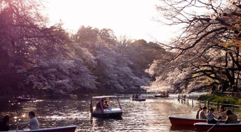 Top 5 Công viên tuyệt vời nhất tại Tokyo - Nhật Bản