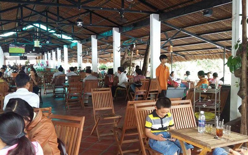 Khám phá top 6 quán cafe cá Koi đẹp nhất tại Cà Mau