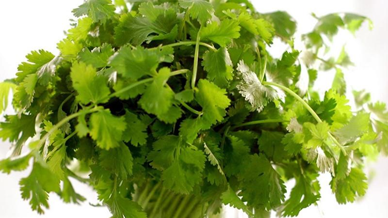 27 loại rau thơm phổ biến tại Việt Nam và công dụng tuyệt vời của chúng
