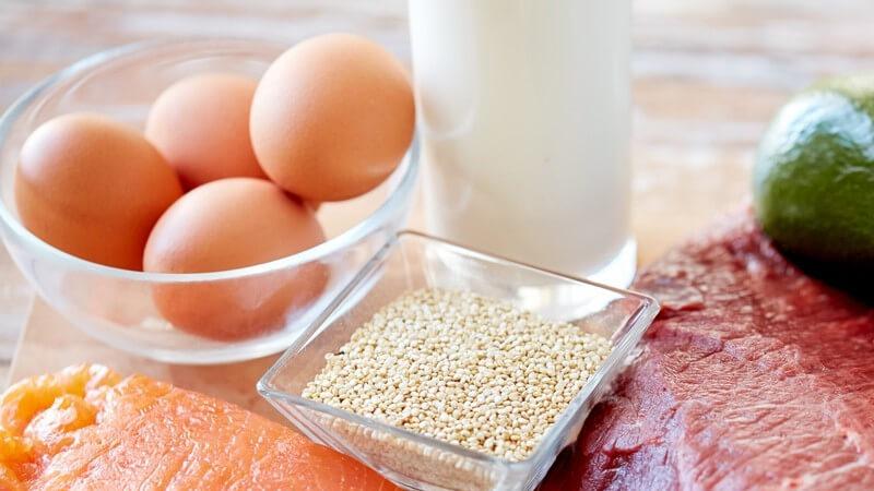 Chó mẹ sau sinh nên bổ sung những loại thực phẩm nào để duy trì sức khỏe và đảm bảo lượng sữa dồi dào?