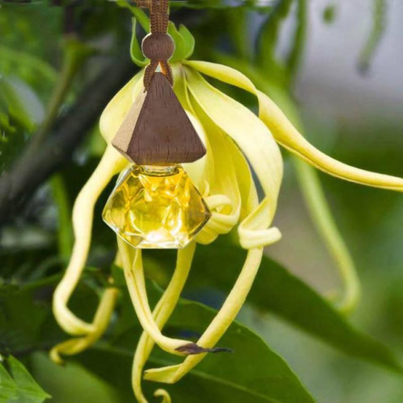 Top 8 địa chỉ bán tinh dầu treo xe ô tô uy tín nhất tại Hà Nội