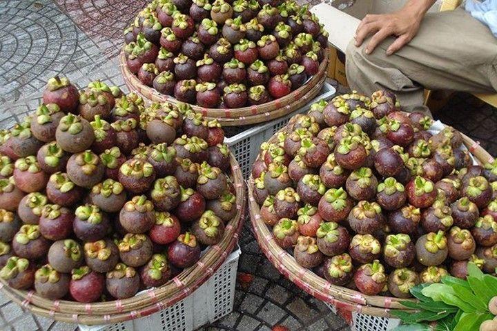 Khám Phá 18 Loại Trái Cây Đặc Sản Nổi Tiếng Nhất Việt Nam