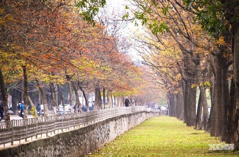 Top 11 Địa Điểm Sống Ảo Tuyệt Đẹp Tại Hà Nội