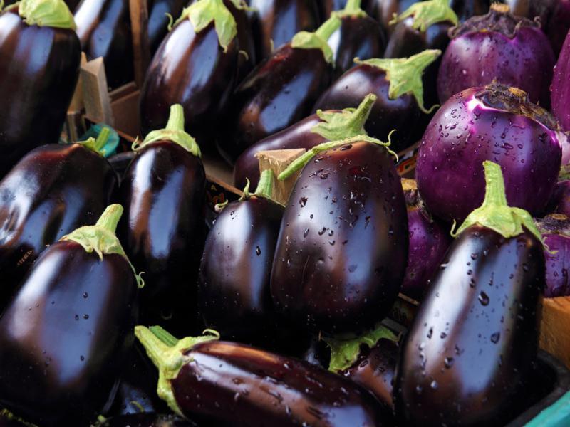 Khám phá Top 10 Món ăn ngon miệng từ cá rô phi với công thức dễ làm tại nhà