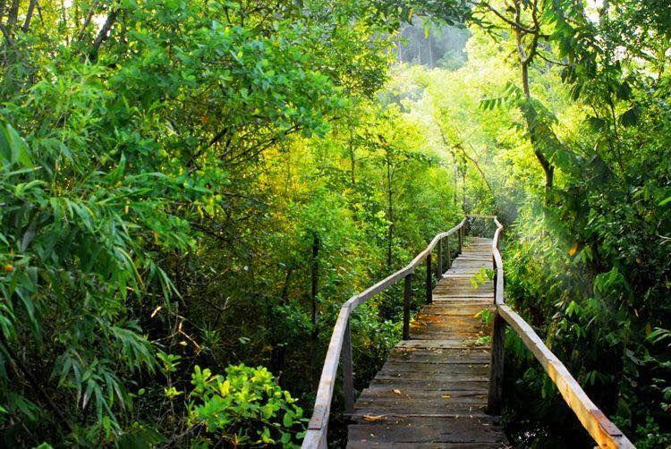 Top 7 Địa điểm sống ảo đẹp nhất tại Bình Phước cho giới trẻ