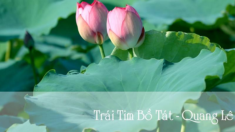 10 ca khúc Phật giáo giúp tâm hồn an tĩnh, giảm bớt căng thẳng hiệu quả
