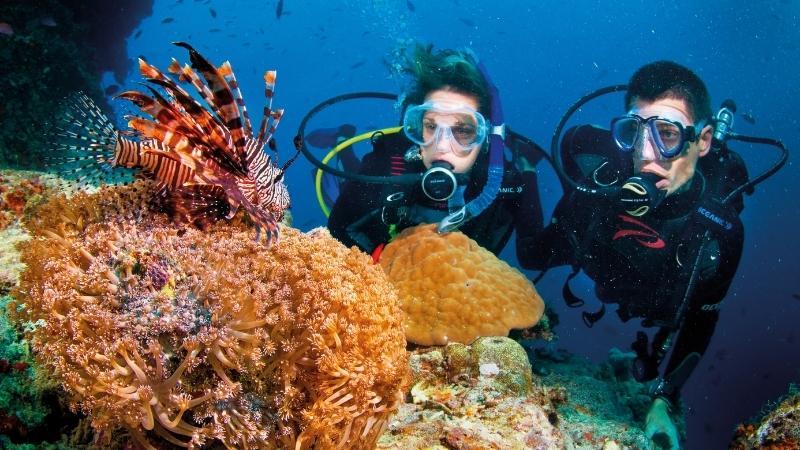 Khám phá trải nghiệm lặn biển và ngắm san hô tại Nha Trang từ A đến Z trong bài đánh giá chi tiết này.