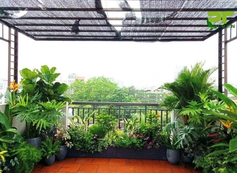 Top 5 cửa hàng uy tín bán cây cảnh tại TP Hà Tĩnh