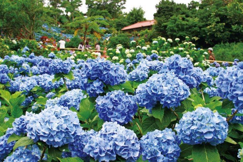Top 10 câu nói sâu sắc về sự tử tế, giúp nuôi dưỡng trái tim nhân hậu và phẩm hạnh cao đẹp