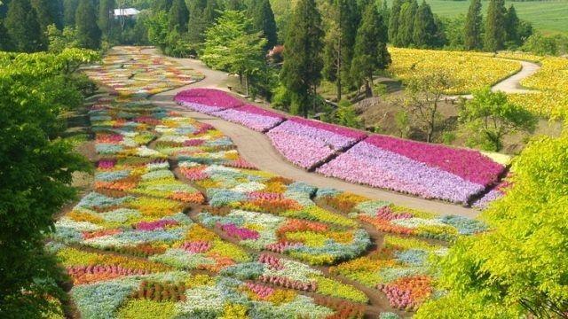 Top 7 Địa điểm nhất định phải đến ở Kyushu, Nhật Bản