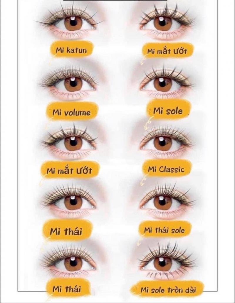 Khám Phá 9 Địa Chỉ Nối Mi Đẹp và Chất Lượng Nhất Tỉnh Hà Nam