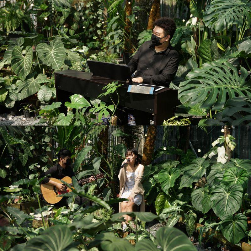 Top 12 Quán Cafe Acoustic Lãng Mạn Nhất Sài Gòn Đáng Trải Nghiệm