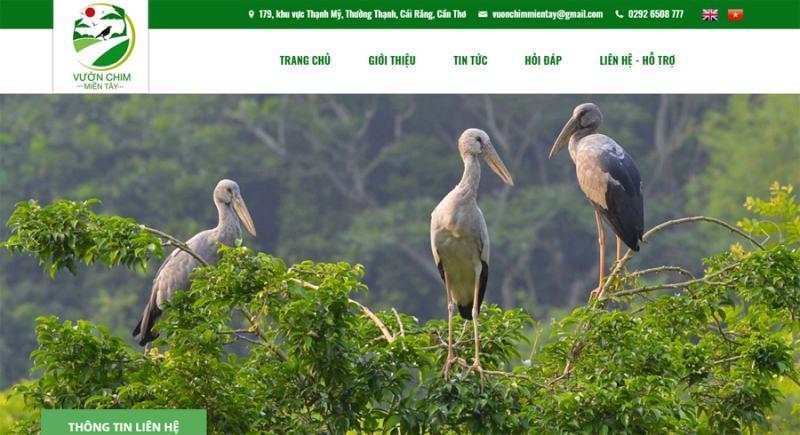 Top 6 công ty thiết kế website chất lượng và giá tốt tại Đồng Tháp
