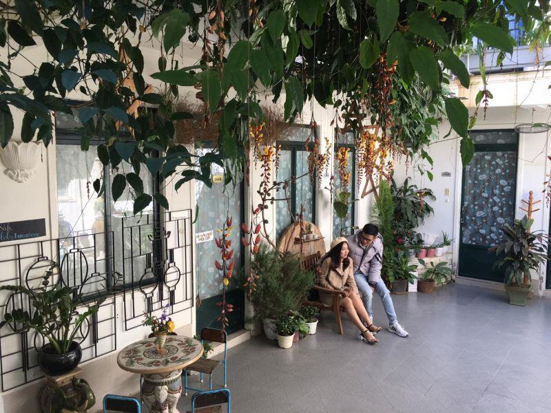 Top 12 Homestay có không gian sân vườn gần trung tâm chợ Đà Lạt, Lâm Đồng