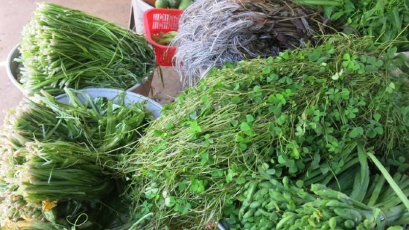 Rau chốc - cái tên nghe có vẻ lạ nhưng lại là một đặc sản nổi tiếng, mang đậm hương vị miền Tây