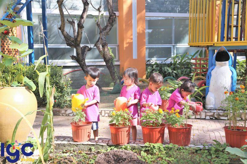 Top 10 trường mầm non chất lượng, uy tín tại Quận Tân Bình, TP Hồ Chí Minh