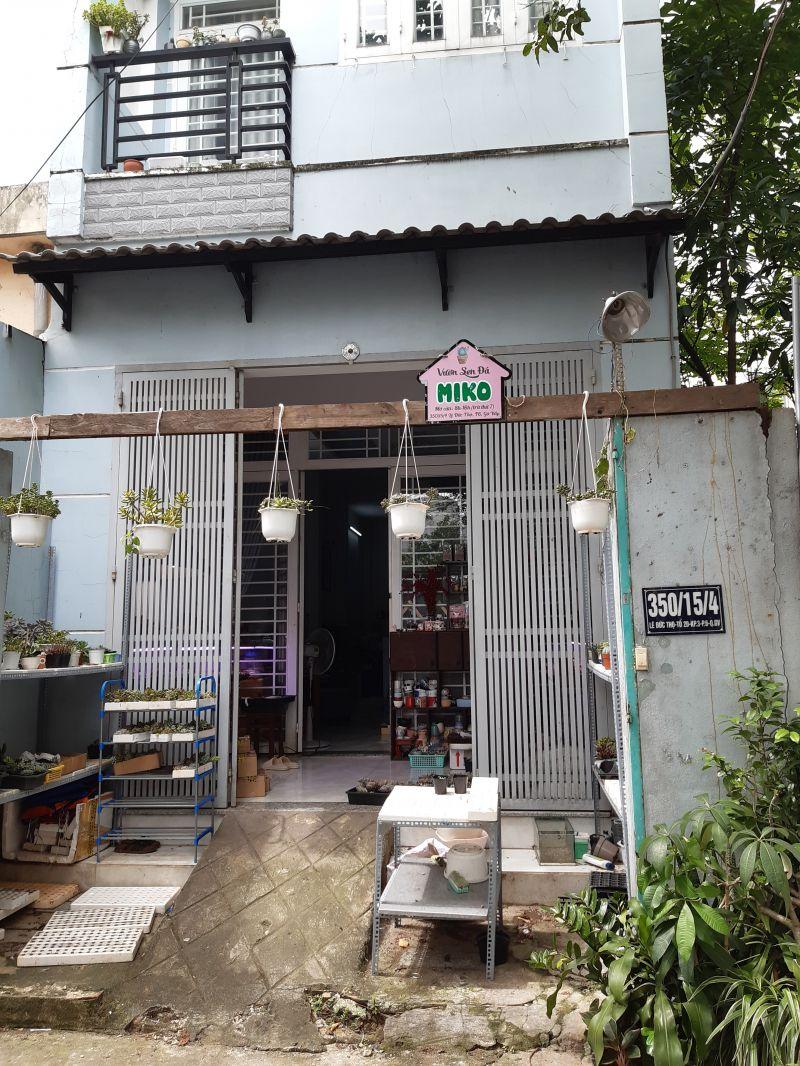 Top 12 cửa hàng sen đá đẹp tại TP. Hồ Chí Minh