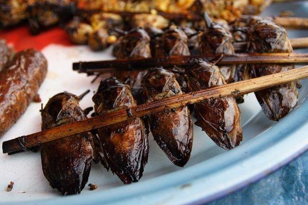 Top 13 Món ăn đặc sắc từ côn trùng lạ ở Việt Nam