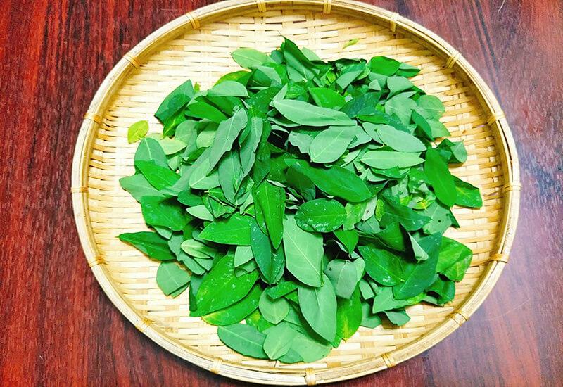 Rau ngót, một loại rau giản dị nhưng lại chứa đựng nhiều giá trị dinh dưỡng tuyệt vời cho sức khỏe.