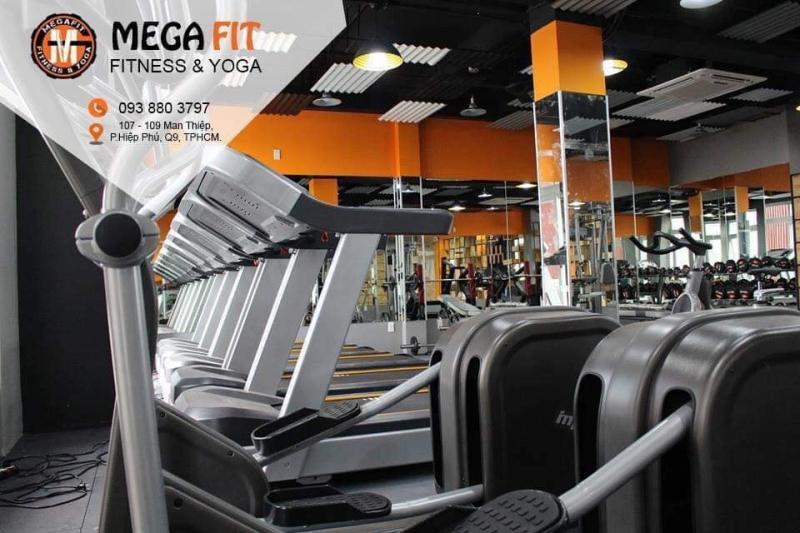 Khám phá 9 phòng tập Gym hàng đầu tại Quận 9, TP HCM