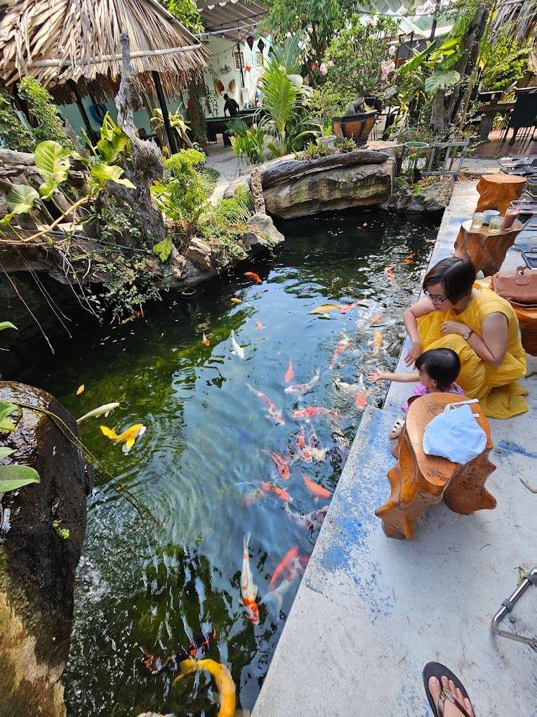 Top 6 Quán cà phê cá Koi nổi bật và thu hút nhất tại Kiên Giang