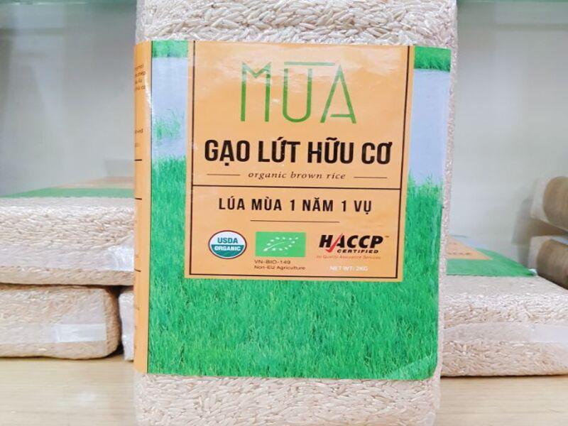 Top 10 sản phẩm gạo lứt hữu cơ tốt cho sức khỏe được yêu thích nhất hiện nay