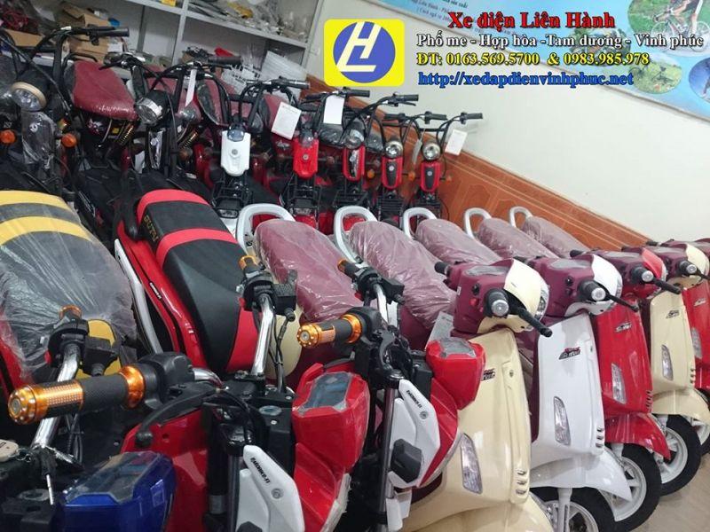 Top 9 Cửa Hàng Xe Đạp Điện Uy Tín Và Chất Lượng Nhất Tỉnh Vĩnh Phúc