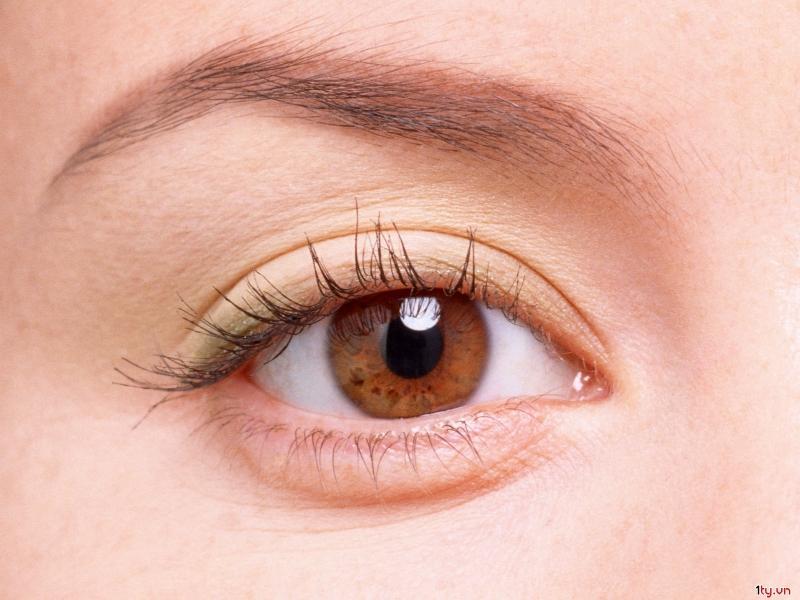 Top 14 lợi ích tuyệt vời của cây chùm ngây đối với sức khỏe