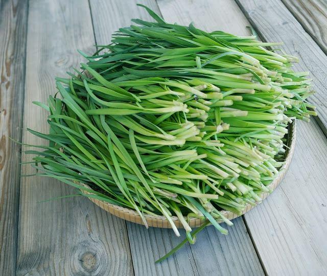 Top 10 Mẹo cực kỳ hữu ích giúp mẹ chăm sóc trẻ sơ sinh phát triển khỏe mạnh tối ưu