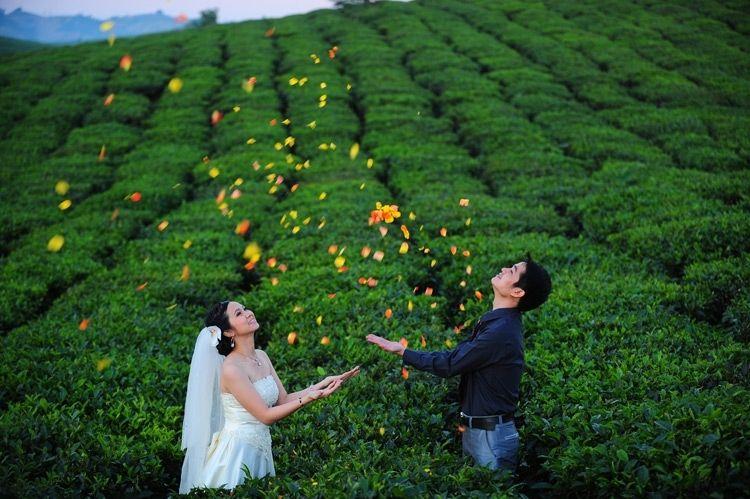 15 Địa điểm chụp ảnh cưới lý tưởng tại miền Bắc