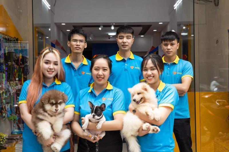 Top 5 địa chỉ mua chó Shiba Inu uy tín tại Hà Nội