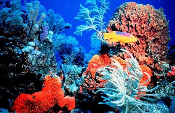 Top 10 địa điểm hấp dẫn không thể bỏ lỡ tại Nha Trang