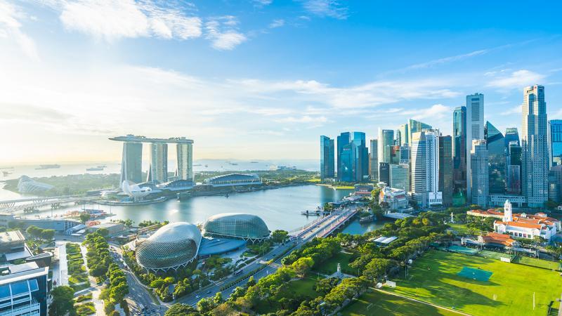 Top 8 bài văn cảm nhận tuyệt vời về bài thơ 'Việt Nam quê hương ta'