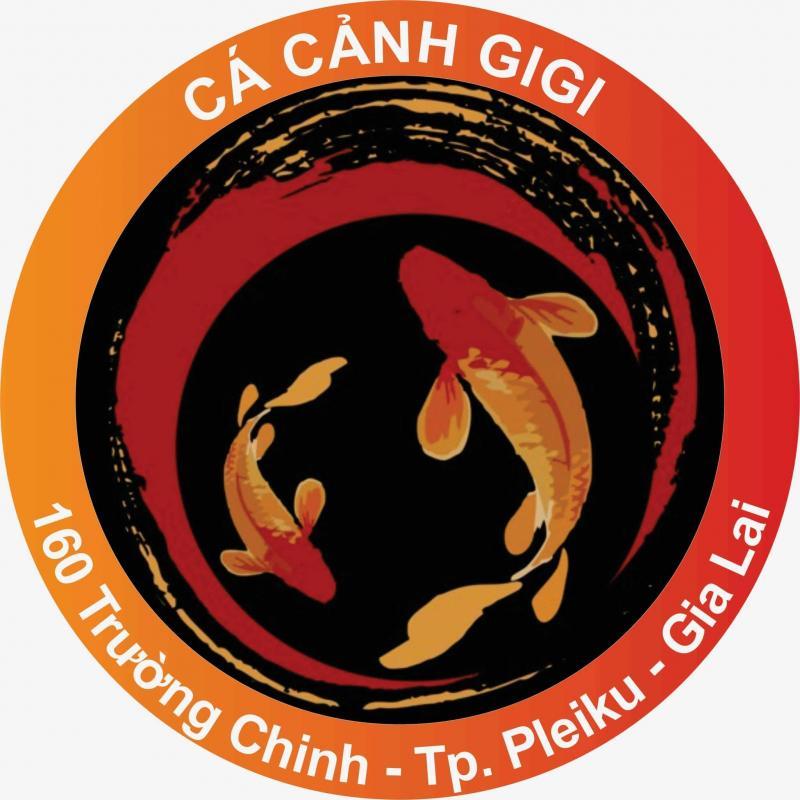 Top 8 địa chỉ bán cá cảnh, bể cá đẹp và uy tín tại tỉnh Gia Lai