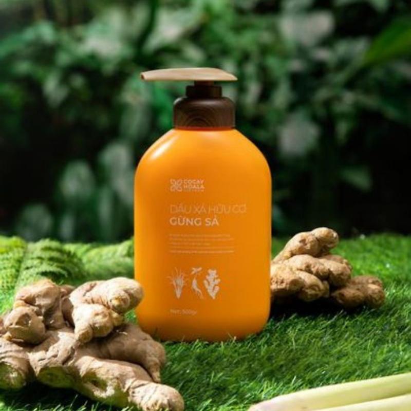 Top 10 Dầu Gội Chữa Gàu Hiệu Quả Nhất