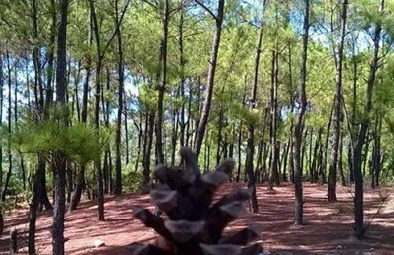 Top 10 Điểm đến hấp dẫn nhất tại Quảng Nam