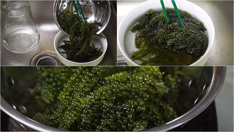 Hướng dẫn làm món salad bắp cải rong nho giòn ngon, lạ miệng và cực kỳ bổ dưỡng cho sức khỏe