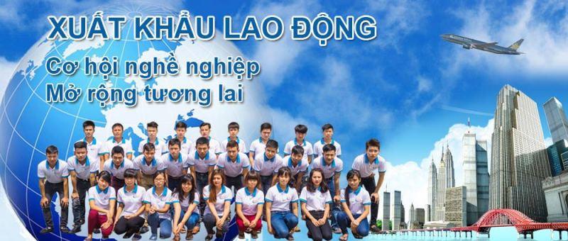 Top 6 Trung Tâm Tư Vấn Du Học Uy Tín Nhất Tại Quảng Trị