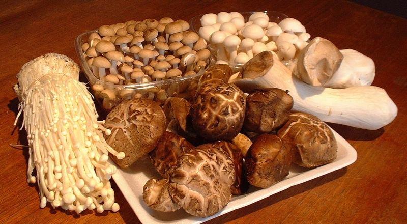 Top 10 Nhóm thực phẩm tốt cho người bị cận thị
