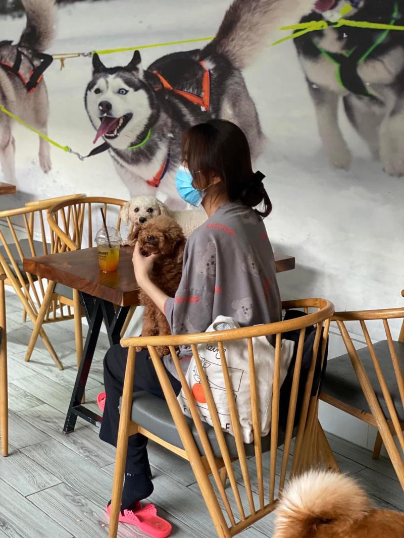 Top 8 Quán cà phê thú cưng dễ thương nhất tại Sài Gòn