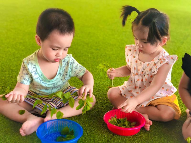 Top 7 trường mầm non xuất sắc nhất TP. Việt Trì, Phú Thọ