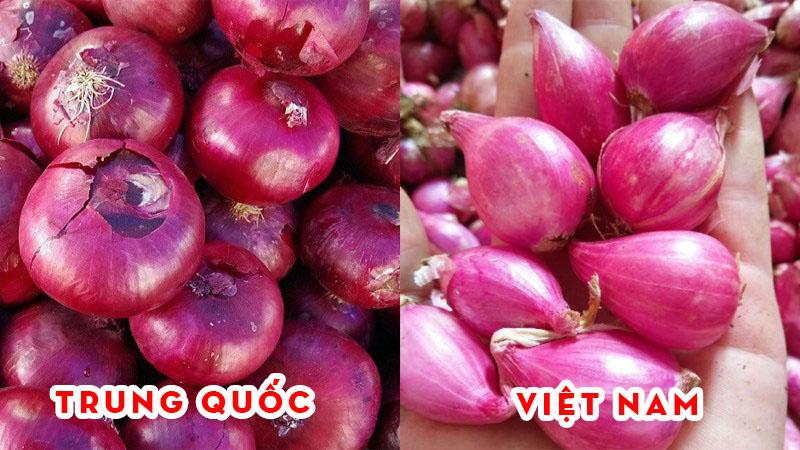 Cách nhận diện hành, tỏi, gừng nhập khẩu từ Trung Quốc