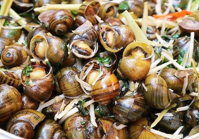Top 6 Quán ốc hấp dẫn nhất Quận Cầu Giấy, Hà Nội