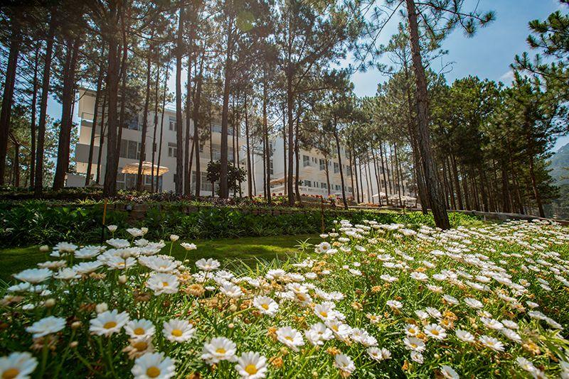 Top 13 resort view Hồ Tuyền Lâm, làng Châu Âu giá phải chăng nhất tại Đà Lạt